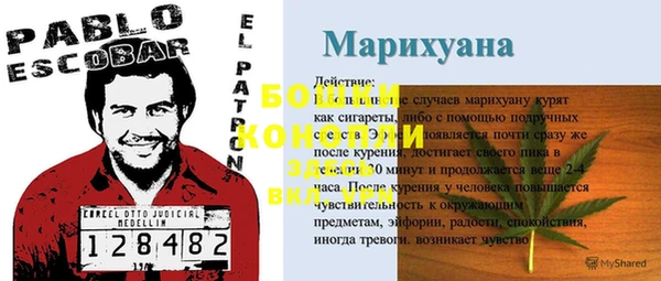кокс Нягань